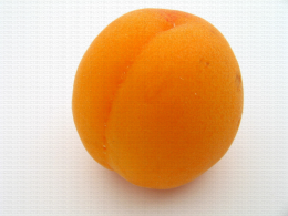 Abricot, coloration homogène de l'épiderme